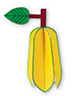 starfruit