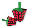 rasberry